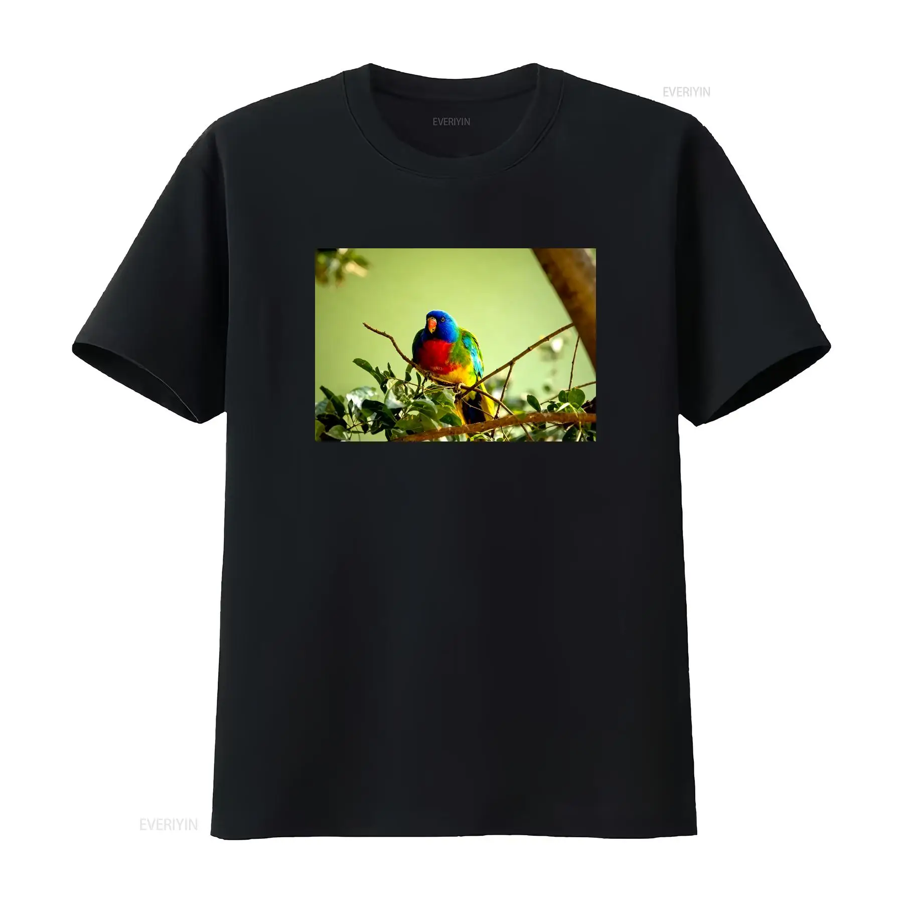Scarlet Chested Parrot Made in - Vintage Fashion Australia recension och pris