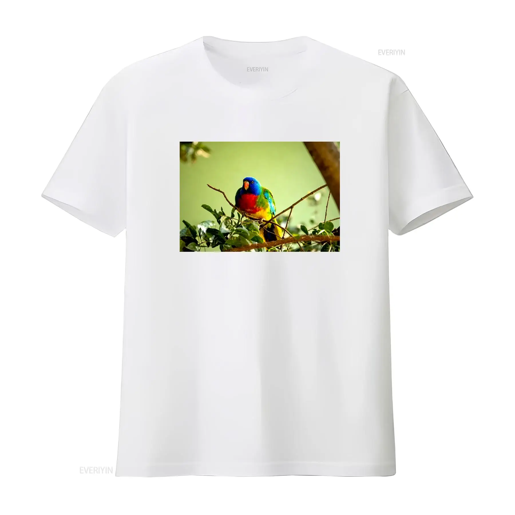 Scarlet Chested Parrot Made in - Vintage Fashion Australia recension och pris